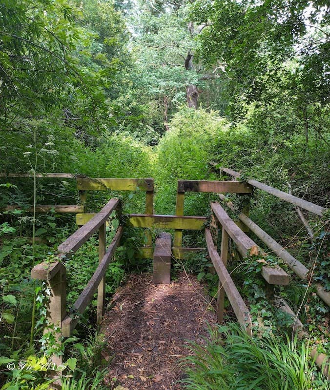 Marshgate Spring Nature Reserve. - Image 2