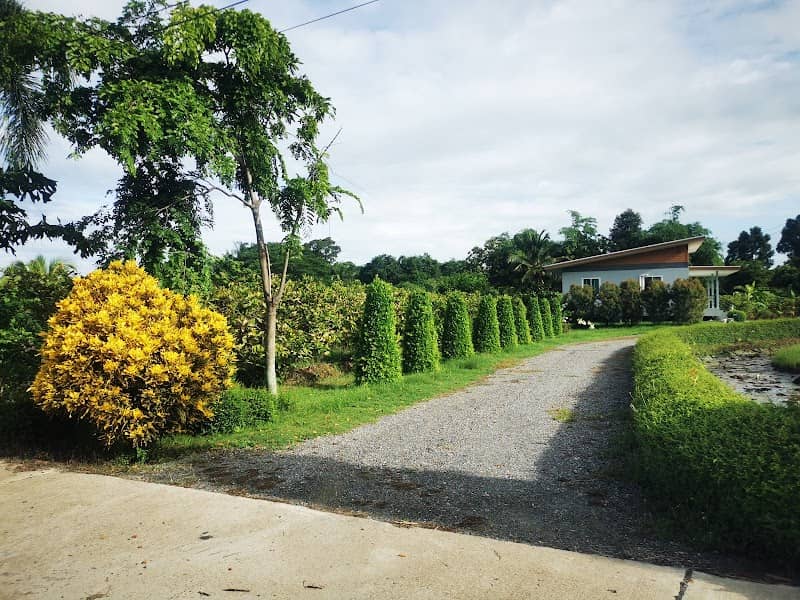 แหล่งท่องเที่ยวเชิงเกษตร(สวนย่าพิมพ์) - Image 1