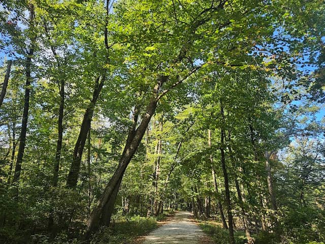 Fullersburg Woods Nature Education Center - Image 3