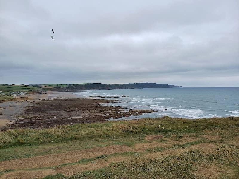 Widemouth Bay - Image 2
