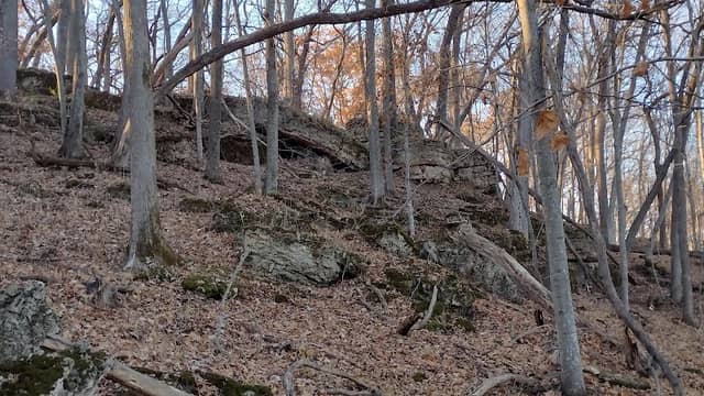 Retz Memorial Woods State Preserve - Image 1