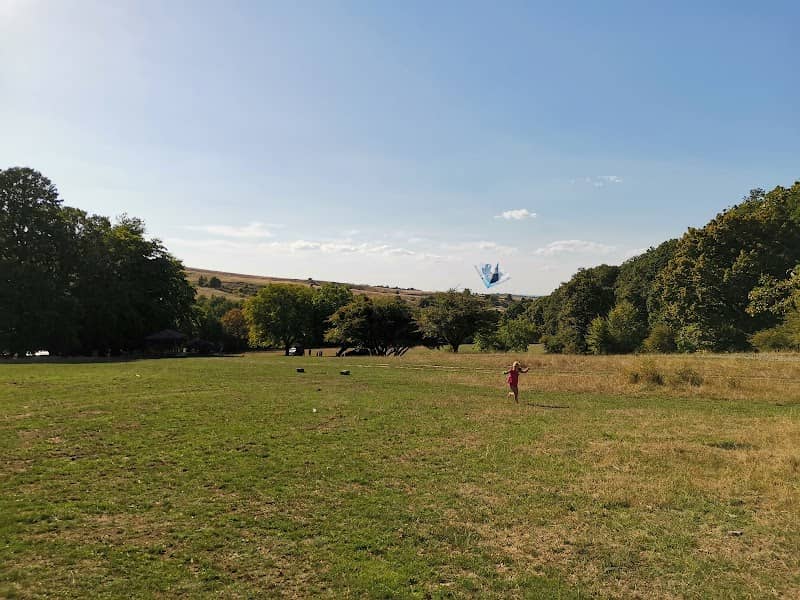 Picnic park - Image 1
