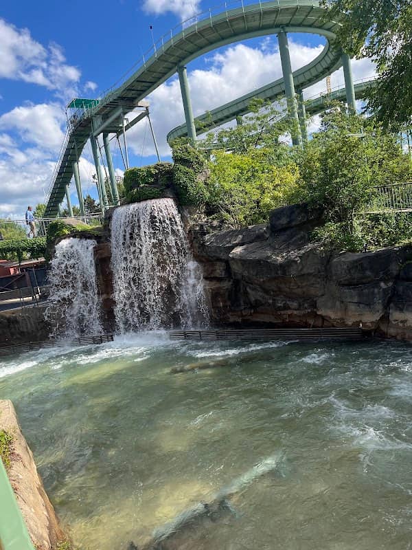Roaring Rapids - Image 1