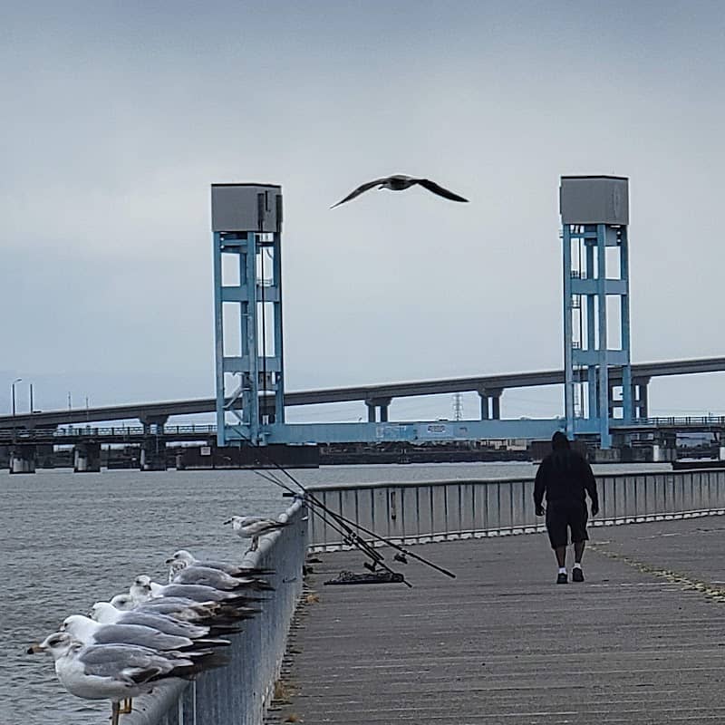 Independence Park - Image 2