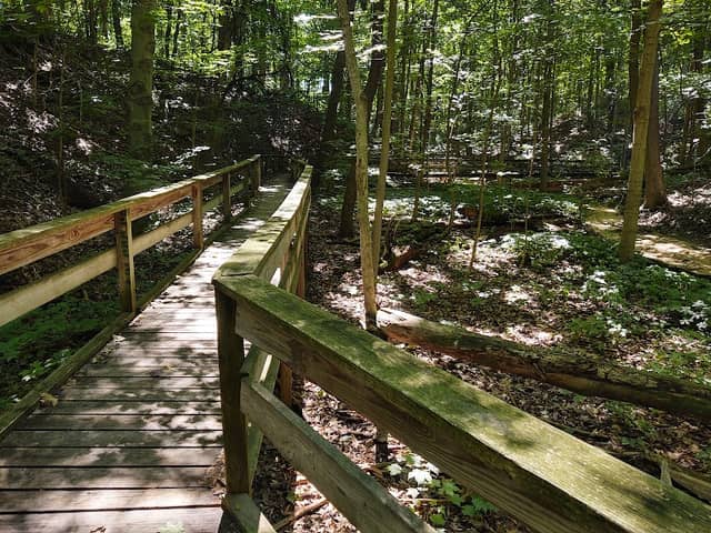 Hudsonville Nature Center - Image 2