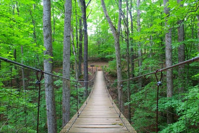 Tims Ford State Park - Image 2