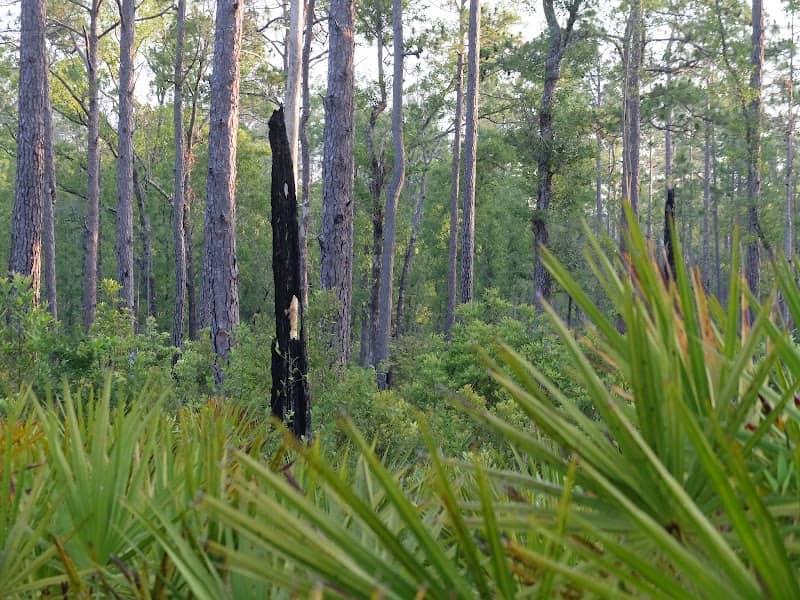 Fire and Water Recreation Area - Image 2