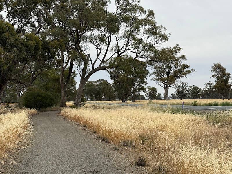 North of the Murray Trail - Image 2