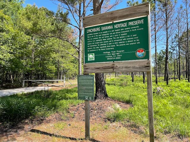 Lynchburg Savanna Heritage Preserve/ Wildlife Management Area - Image 2