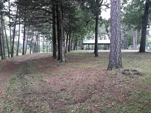 City Park - Image 2