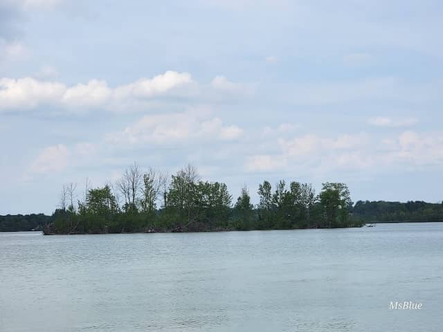 Geese Island - Image 1