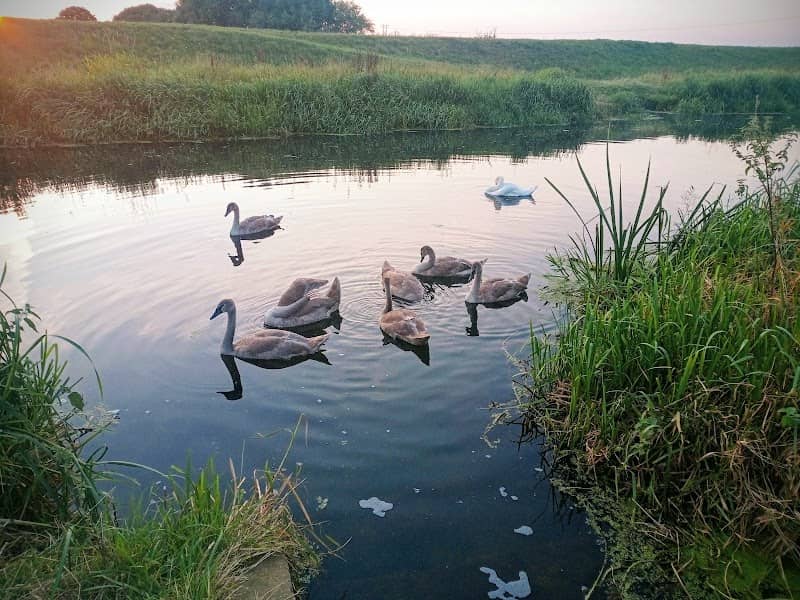 South Witham Marsh - Image 2
