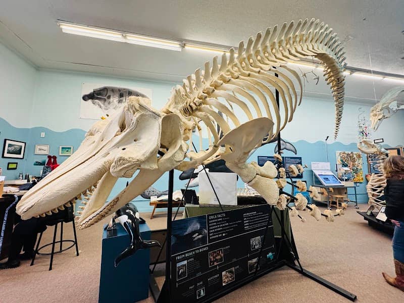 Noyo Center For MARINE Science - Image 1
