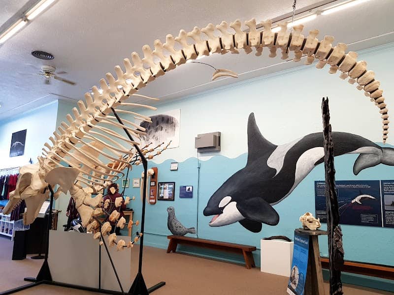 Noyo Center For MARINE Science - Image 2