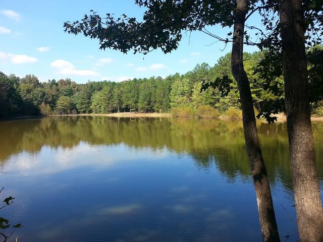 Idlewild Road Park - Image 2