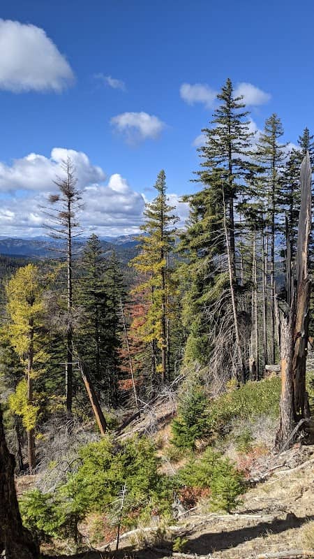 Okanogan-Wenatchee National Forest - Image 1