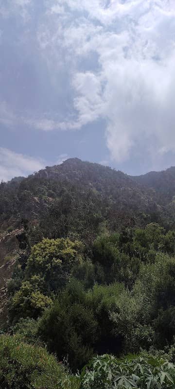 عين ماء حبو - Image 1