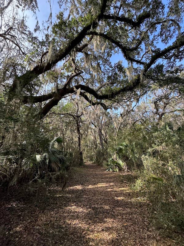 Cannon's Point Preserve - Image 2