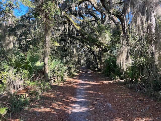 Cannon's Point Preserve - Image 1