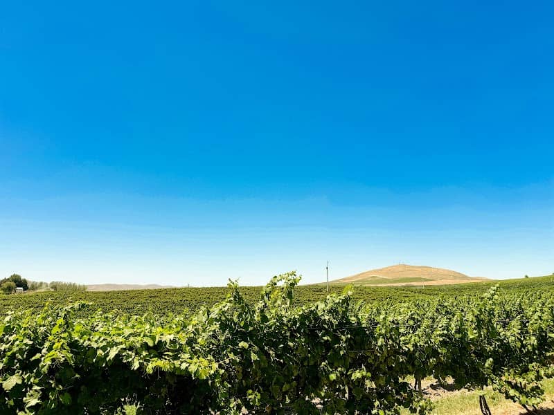 Badger Mountain Organic Winery - Image 1