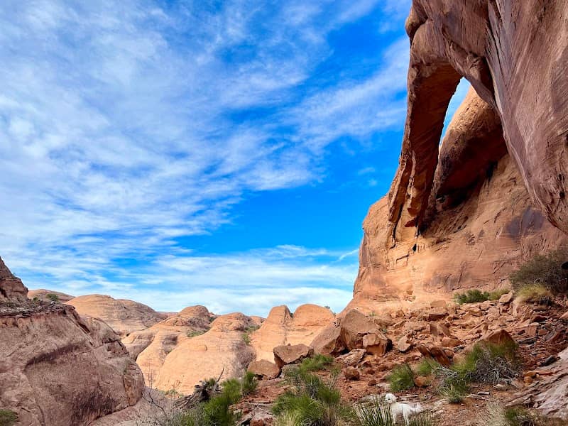 Longbow Arch - Image 2