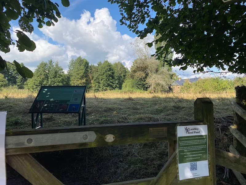 Reed Pond - Image 1