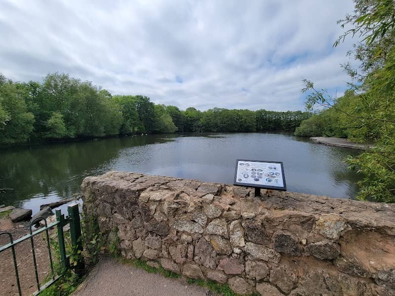 Solihull Nature Reserve - Image 2