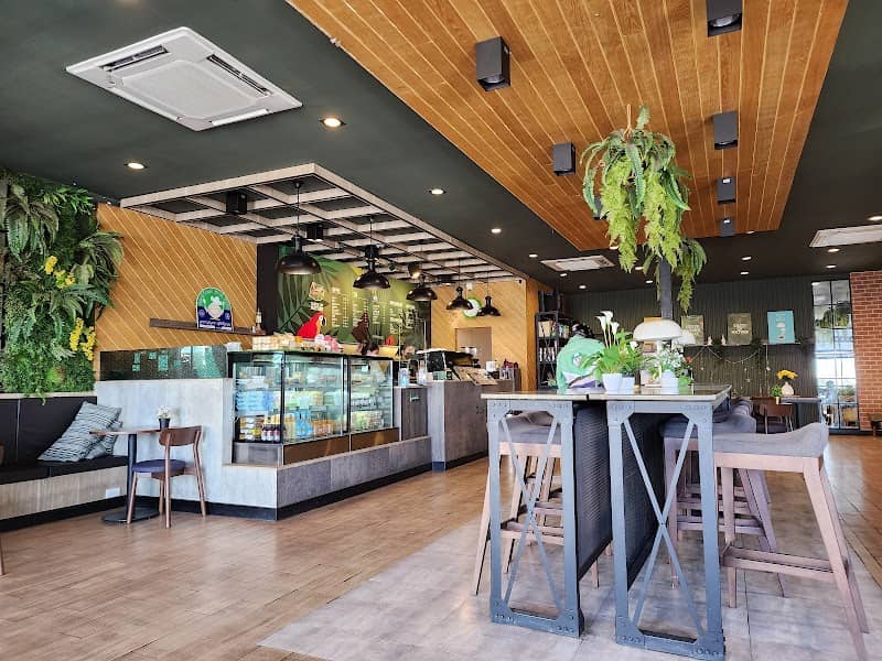 Café Amazon - Image 1