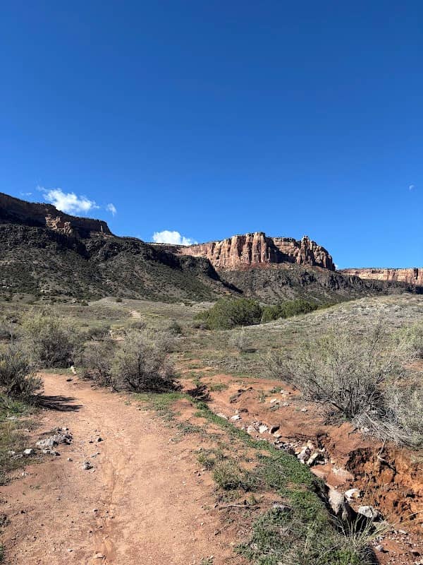 Liberty Cap trail - Image 2