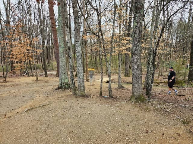 Johnson Street Disc Golf Park - Image 2