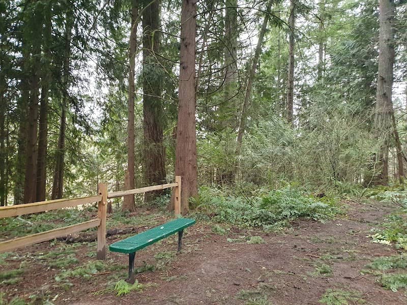 Jackson School Woods Nature Reserve - Image 2