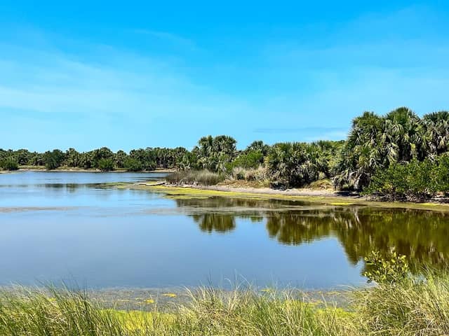 Pelican Island NWR Wildlife Viewing Area - Image 2