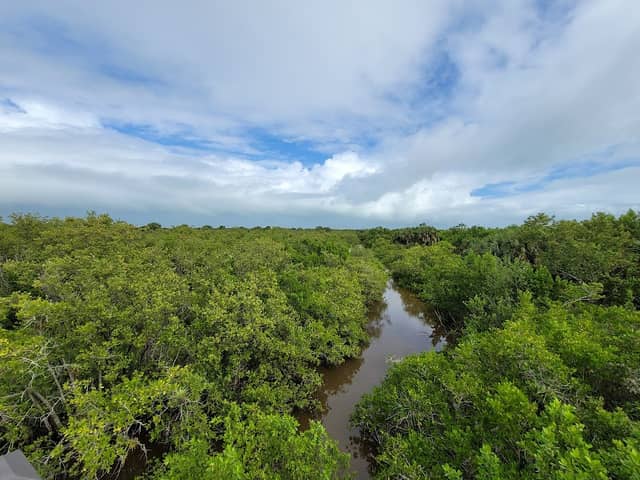 Pelican Island NWR Wildlife Viewing Area - Image 1
