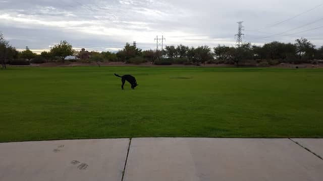 Rancho Sahuarita Park - Image 2