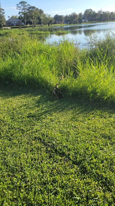 Olustee Park - Image 2