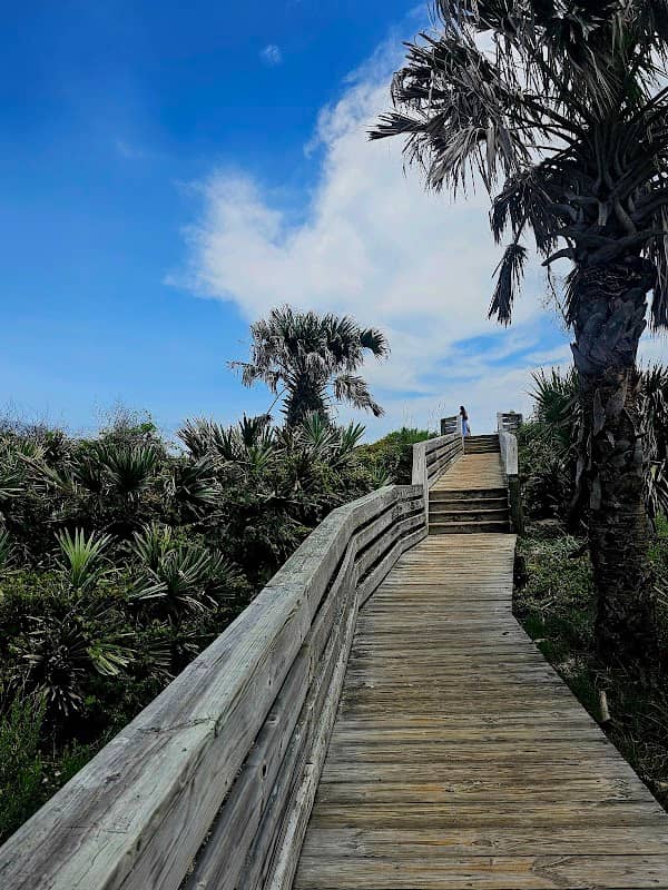 Jungle Hut Road Park - Image 2