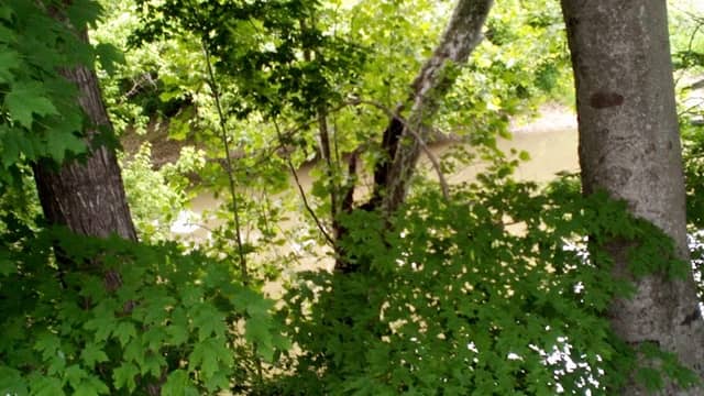 Lions Park - Image 2