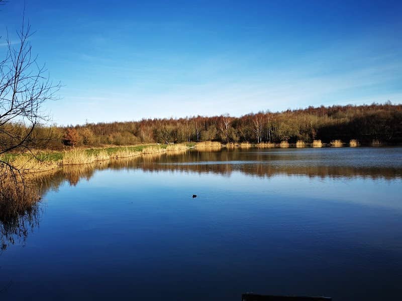 Williamthorpe Nature Reserve Car Park - Image 1