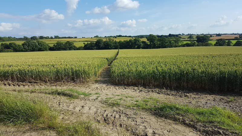 Williamthorpe Nature Reserve Car Park - Image 2