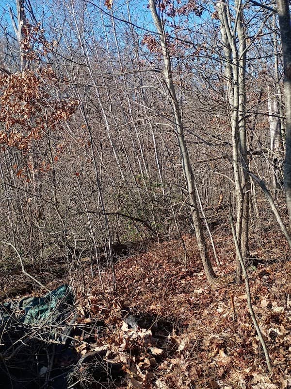 Birge Pond - Image 1