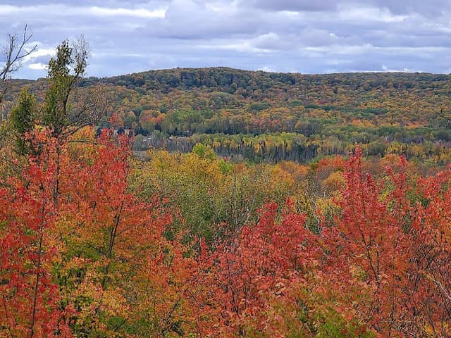 Cherry Hill Overlook - Image 2