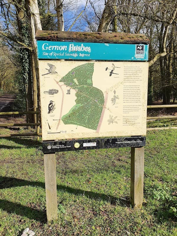 Gernon Bushes - Image 2