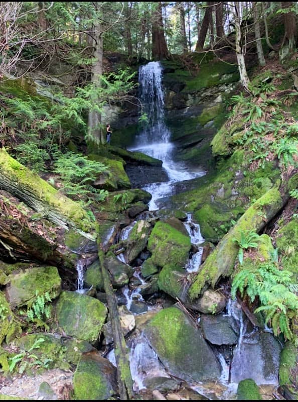 Fire Creek Waterfall - Image 2