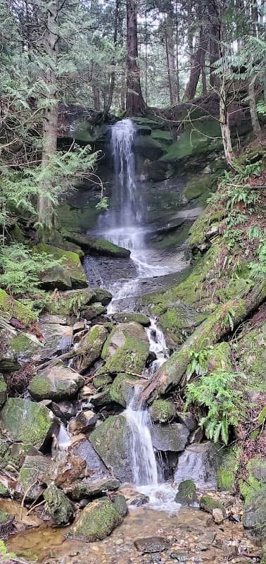 Fire Creek Waterfall - Image 1
