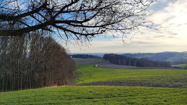 Aussichtspunkt Zehenthof - Image 1