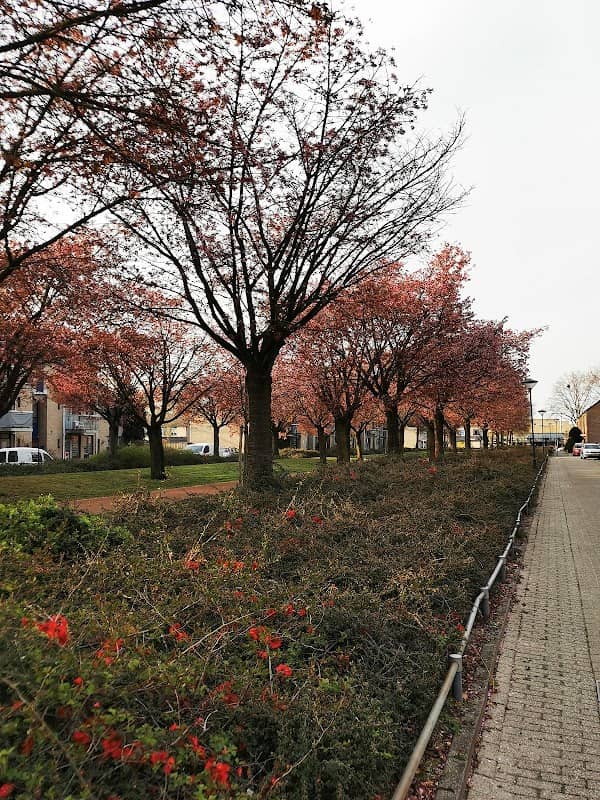 Hortensiapark - Image 2