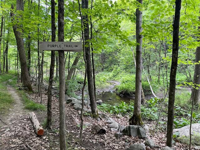 Mill Brook Preserve - Image 3