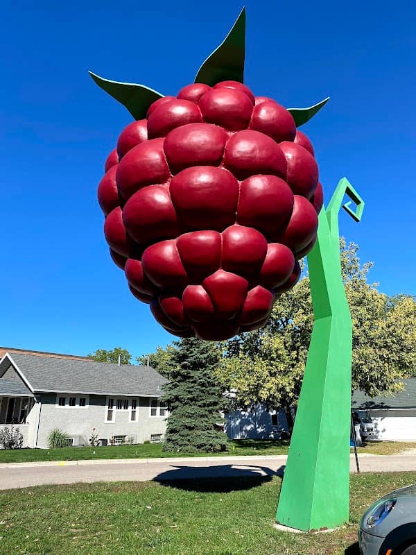The World's Largest Raspberry - Image 1