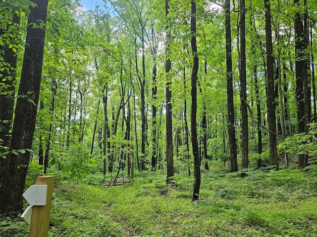 Devil’s Den Nature Preserve - Image 3