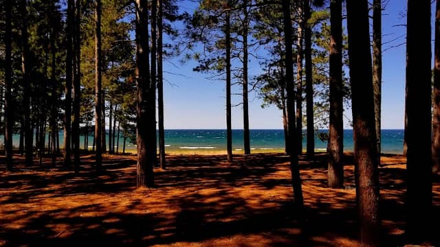 Little Presque Isle - Image 2